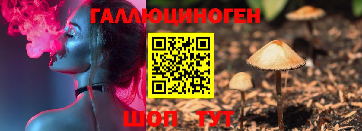 Прохладный  Галлюциногенные грибы MAGIC MUSHROOMS  Вход с VPN 
